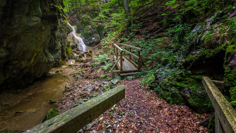 A forest path with a wooden bridge leads to a waterfall in a green, rocky gorge.