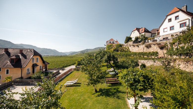 Vineyards and houses in a hilly landscape under a clear sky.