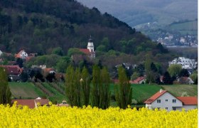 Landscape with yellow rape field, village and church in front of a wooded hill.
