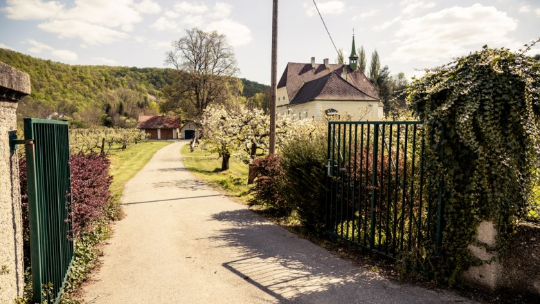 Entrance to the courtyard, © Weingut Faltl