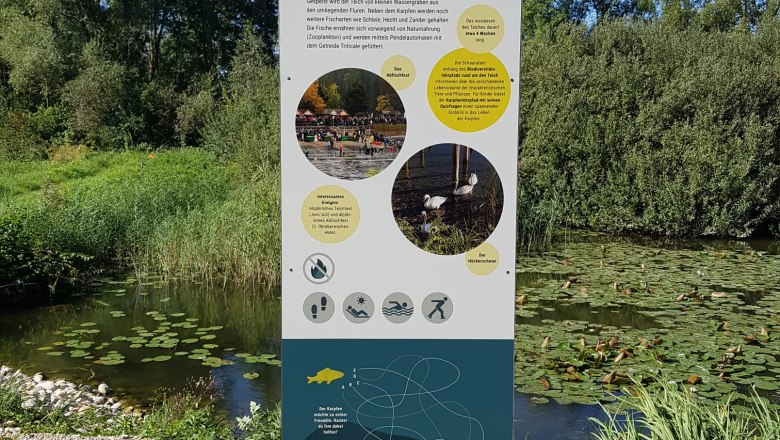 Information sign at the Sitzenberg castle pond with text and pictures, surrounded by nature and the pond.