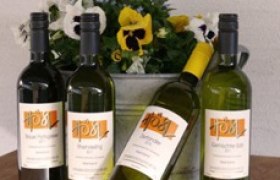 Four bottles of wine in front of a flowerpot with pansies.