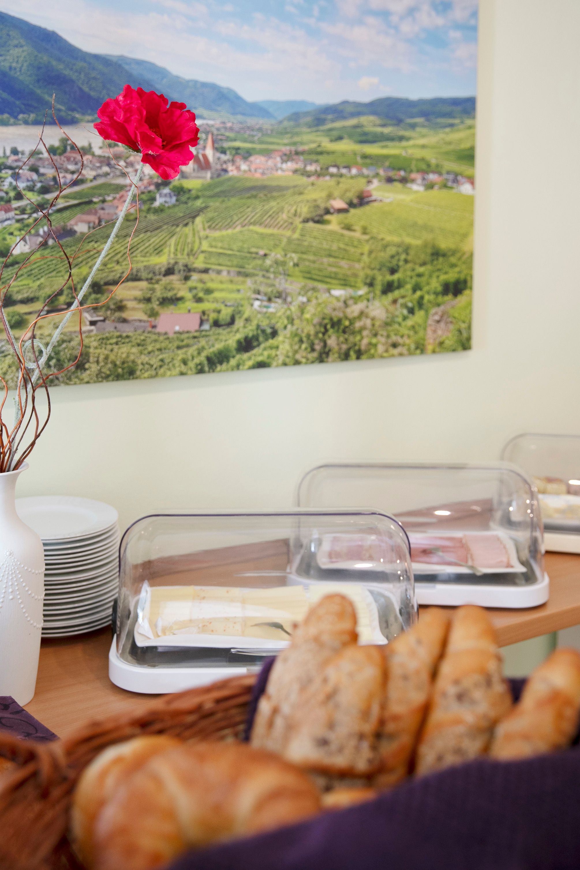 Breakfast buffet with bread rolls, cheese and sausage under covers. A landscape with vineyards in the background.