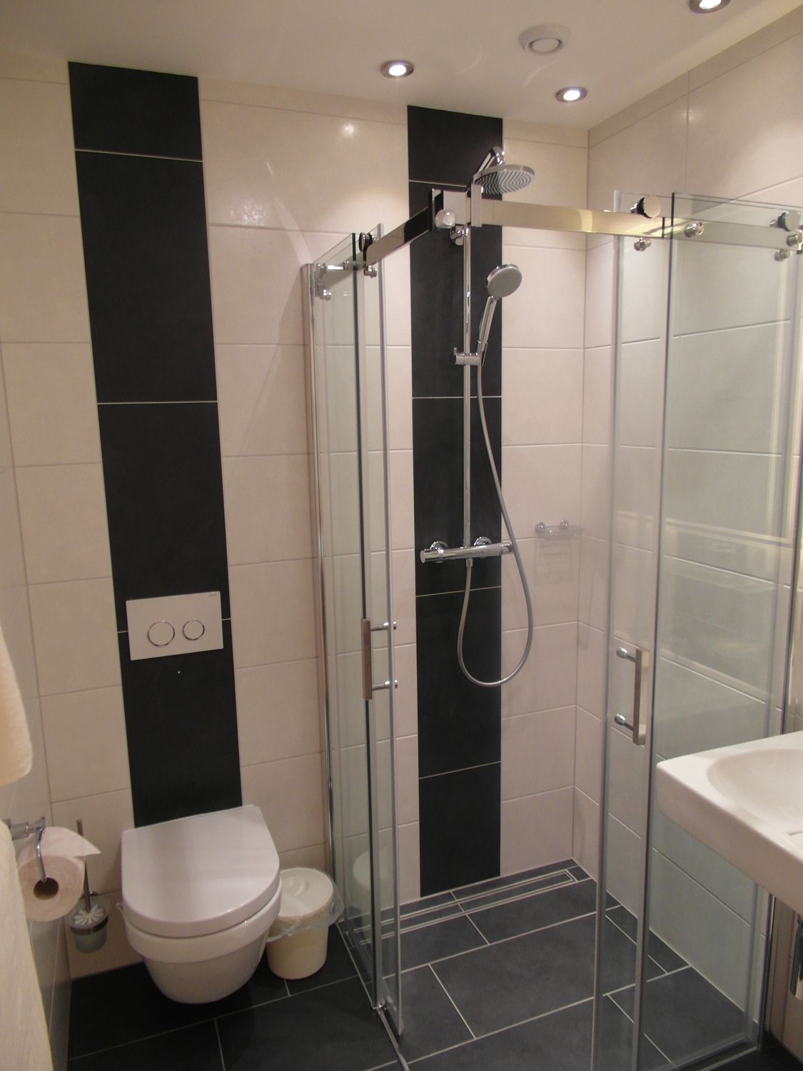 Modern bathroom with shower, toilet and washbasin.