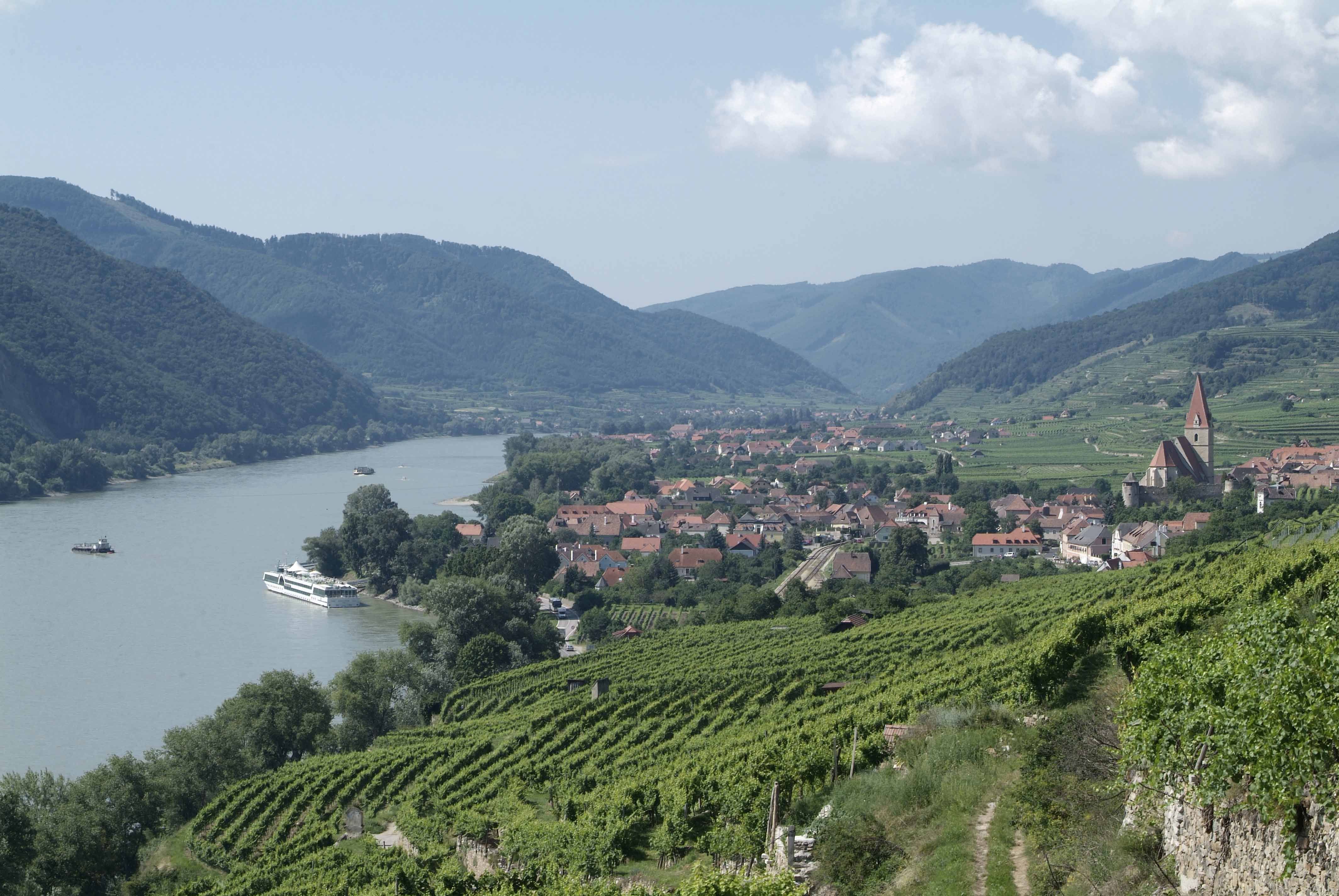View of Weißenkirchen in the Wachau with the Danube and vineyards.