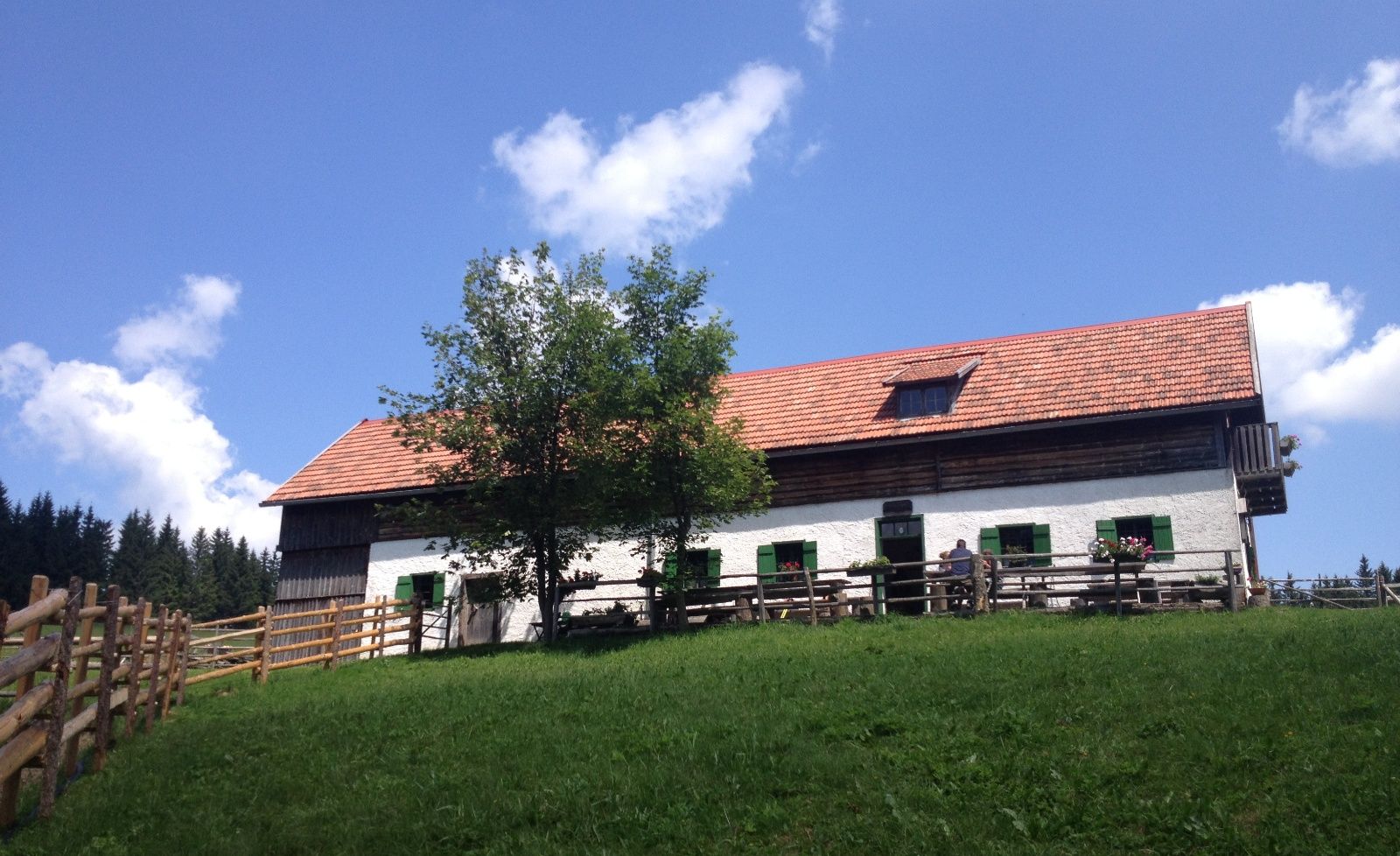 A traditional alpine building with a red tiled roof and green shutters on a meadow under a blue sky.