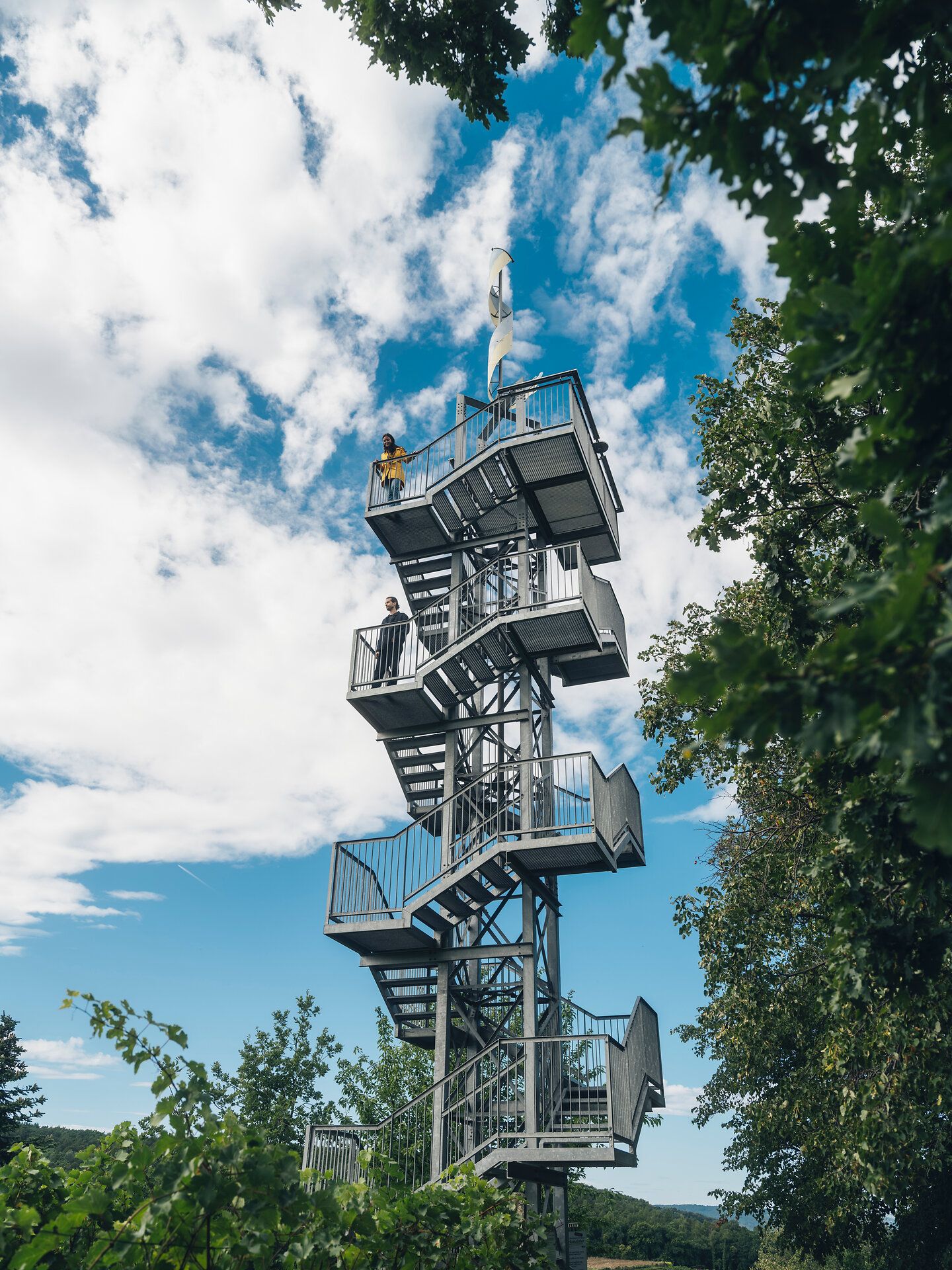 Close-up of red berries on a bare branch with snow in the background.
