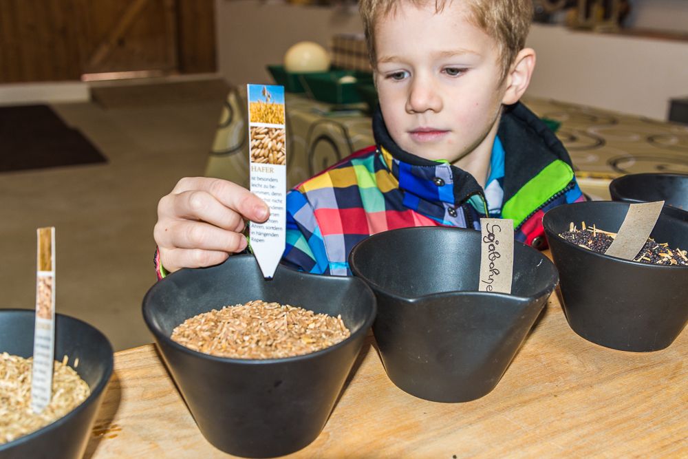 Determine grain