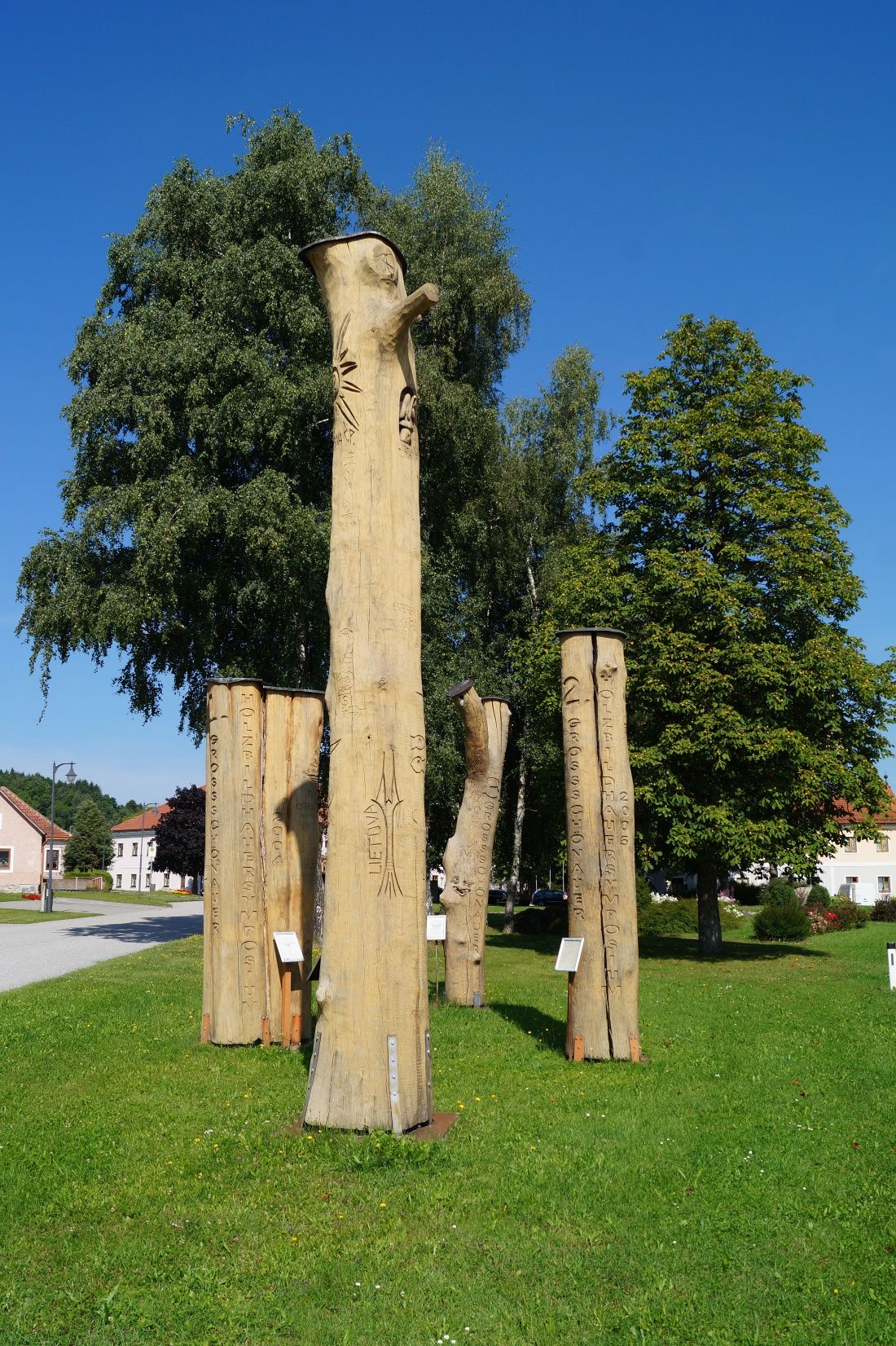 Symposium trees