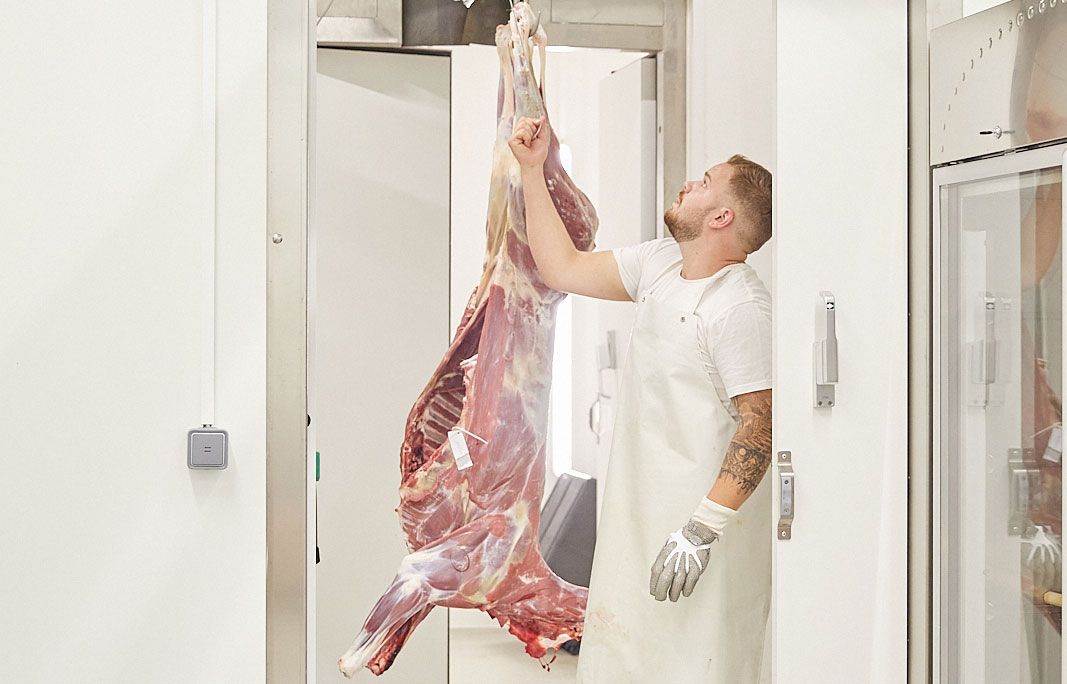 A man in a white apron and gloves inspects a large piece of meat in a cold room.