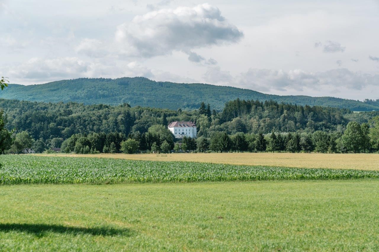 Gardener's house 