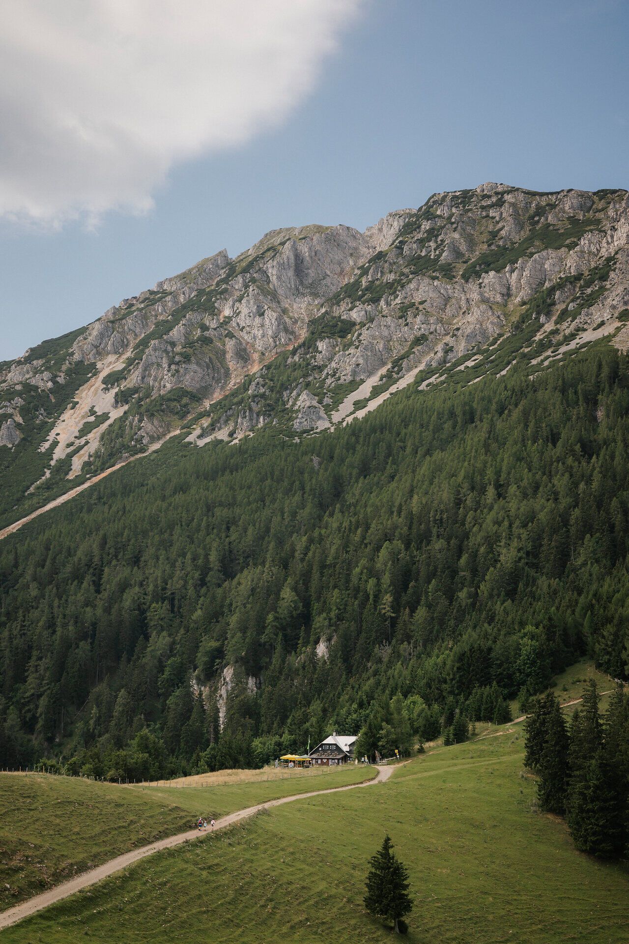 The Edelweiß Hut on the Schneeberg, nestled between the forest and the rocky massif