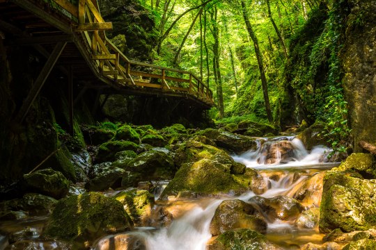 Hiking in the shade of the Johannesbachklamm, © Wiener Alpen / Christian Kremsl