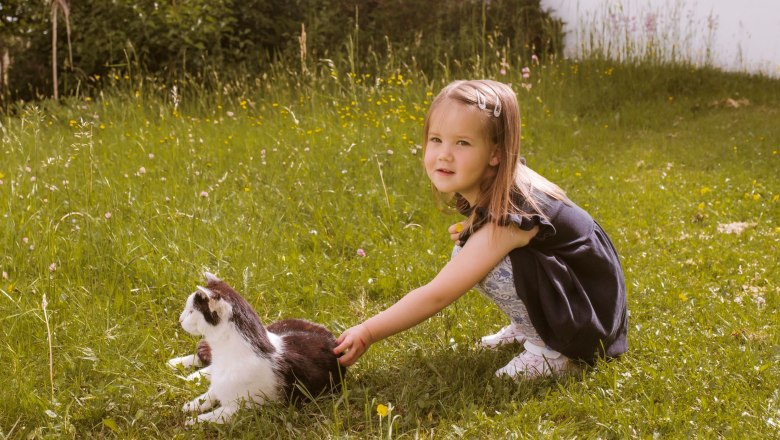 A little girl strokes a black and white cat in a meadow.