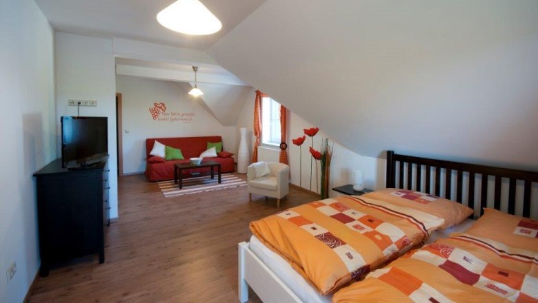 Cozy guest room with double bed, sofa, TV and decorative elements.