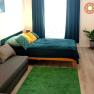 A comfortably furnished bedroom with a bed, sofa, green carpet and plants.