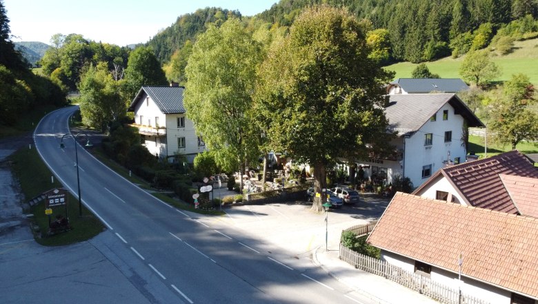 Rural street with houses and trees in a green environment.