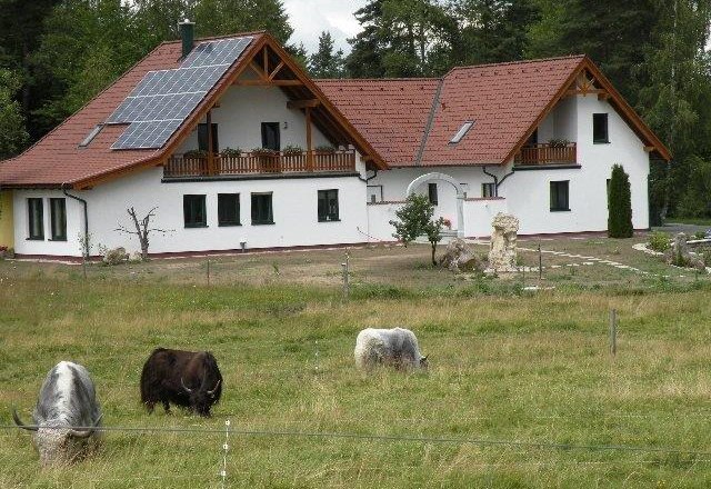 Yak and alpaca farm, © Pollak A modern farmhouse with solar panels on the roof, surrounded by a meadow with grazing yaks.