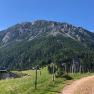 View of a mountain with a green forest and rocky peak under a blue sky.