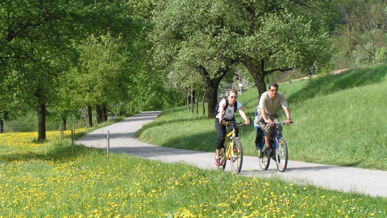 Two cyclists on a path in the countryside, surrounded by flowering meadows and trees.