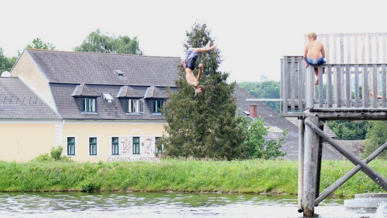 A boy jumps headfirst from a wooden footbridge into a pond while another boy looks on. A building with the inscription 'Gasthaus' can be seen in the background.