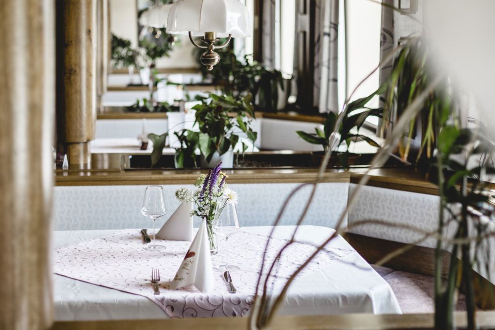 A laid table in a cozy room with plants and a lamp above it.