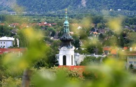 Church tower with green dome in an urban landscape, surrounded by trees and houses.