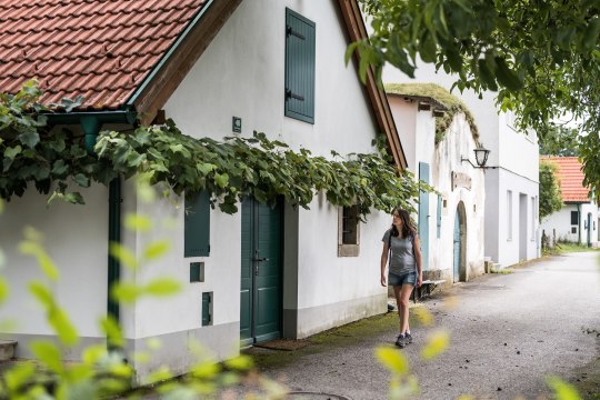 The cellar alleys exert a special charm in autumn. , © Claudia Schlager