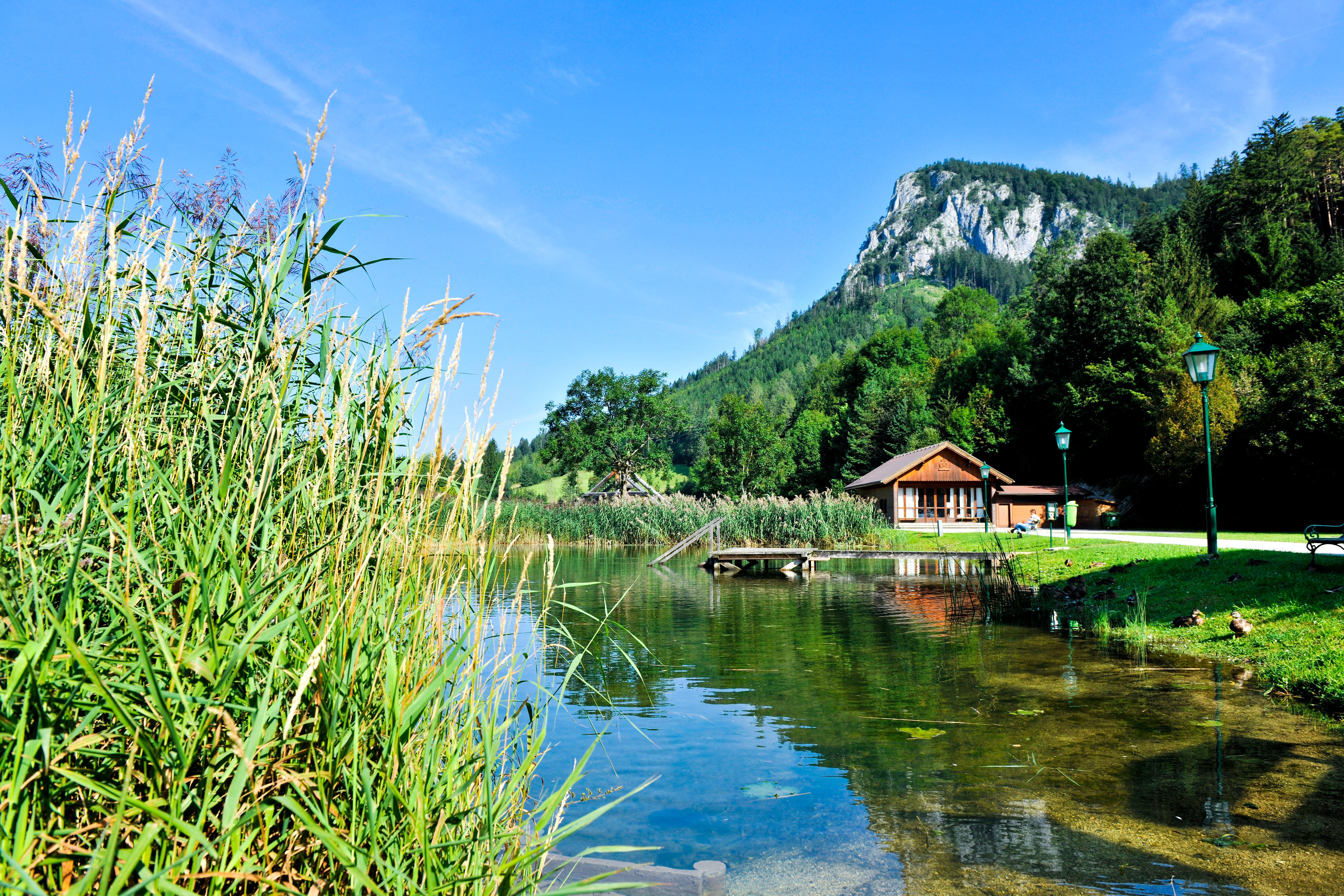 A pond with reeds, a wooden footbridge and a house in the Falkenstein Nature Park, surrounded by wooded mountains.