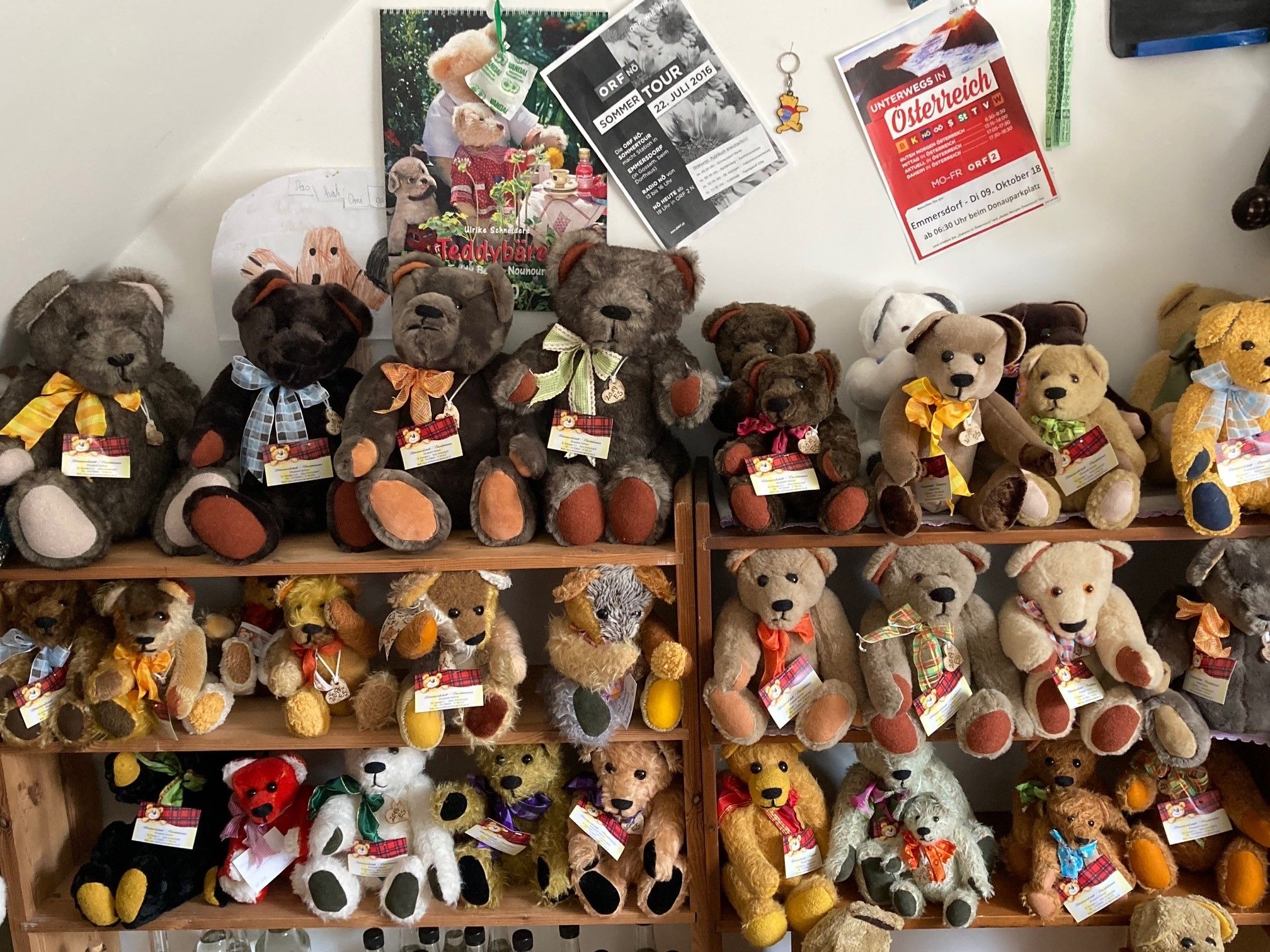 Shelf with many teddy bears in different colors and sizes.