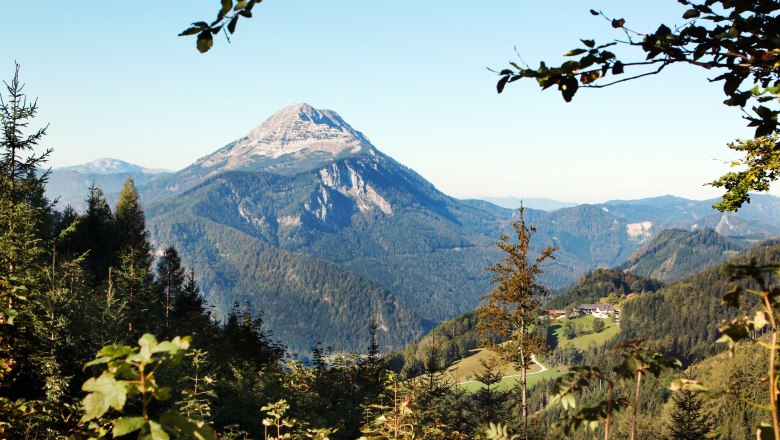 View of the Ötscher from Gösing, surrounded by forests and hills.