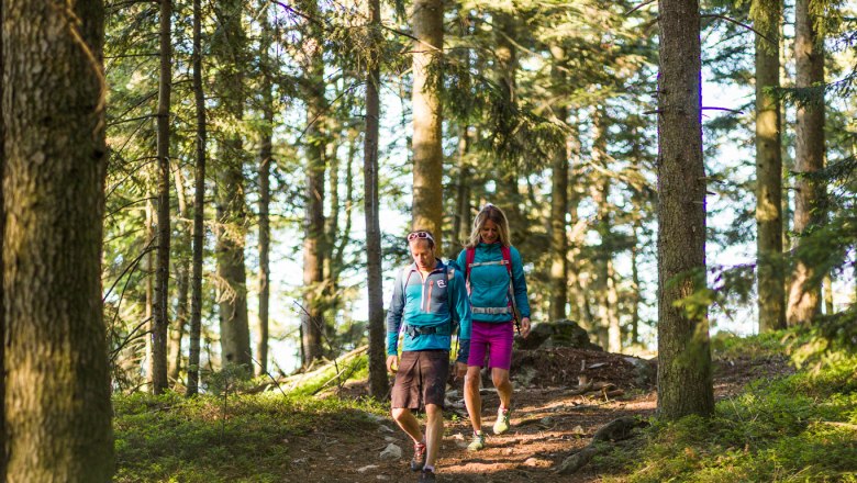 Two people are walking along a forest path surrounded by tall trees.