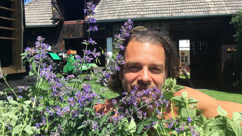 Your host collecting herbs, &copy; Peter Brezina