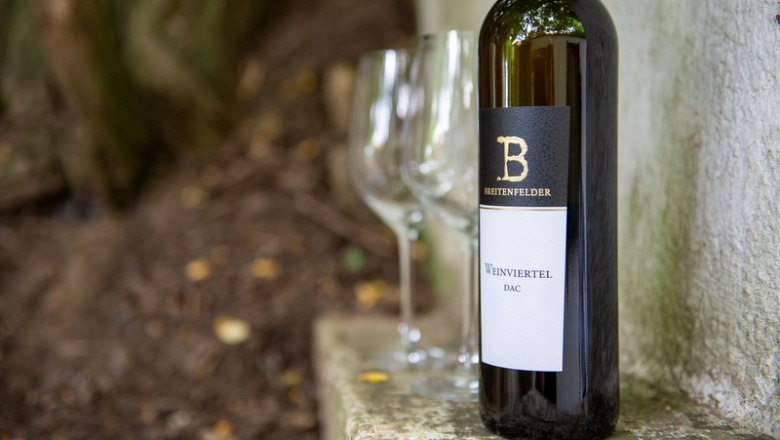 Wine bottle with two empty glasses outside.