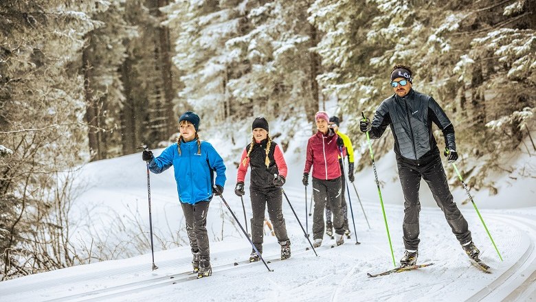 Four people cross-country skiing on a snow-covered trail in the forest.