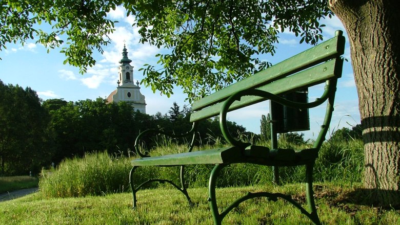 A green bench under a tree with a view of a church in the background.