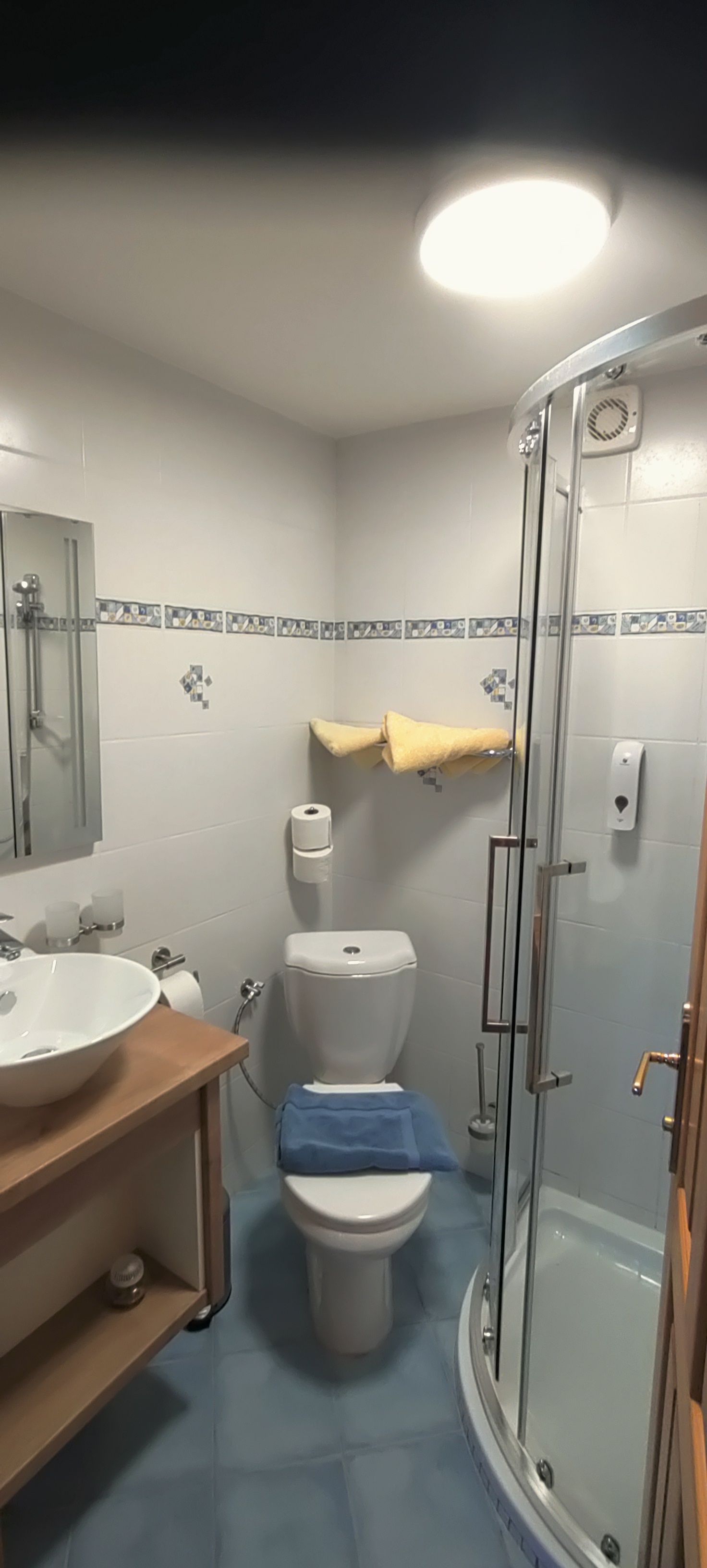 Small bathroom with shower, WC and washbasin.