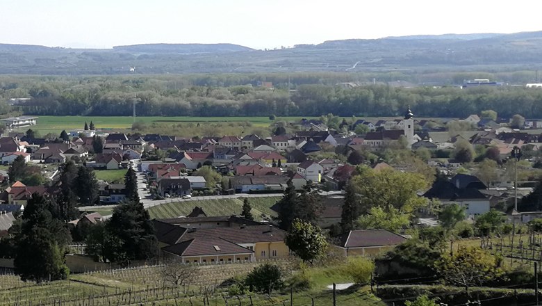 Panoramic view of the village of Rohrendorf with vineyards in the foreground and hills in the background.