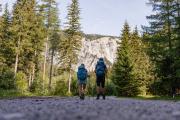 Long-distance hiking trail on the Viennese Alpenbogen., © Niederösterreich Werbung/Franziska Consolati