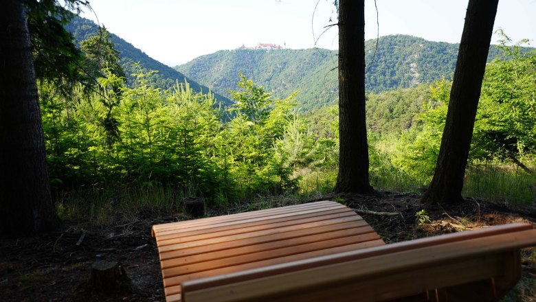Wooden bench in the foreground with a view of wooded hills and a monastery in the distance.