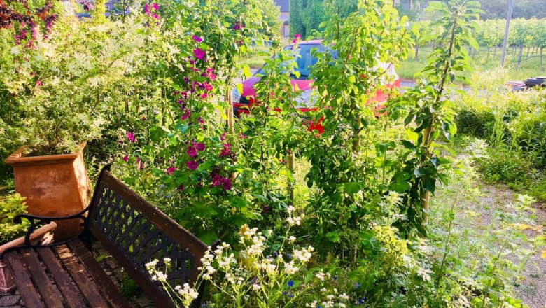Garden with bench, flowers and trees, in the background a red car and a house.