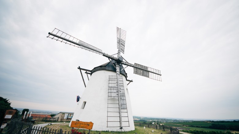 Retz windmill, © Weinviertel Tourismus / Gollner