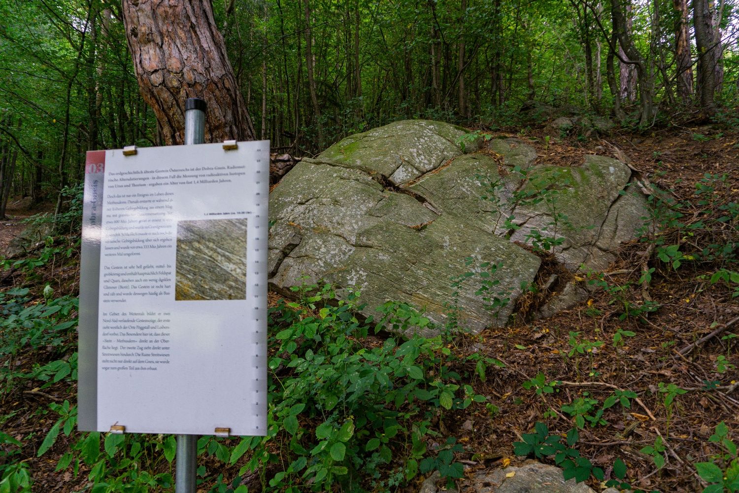 Station 3 - Methuselah's Stone