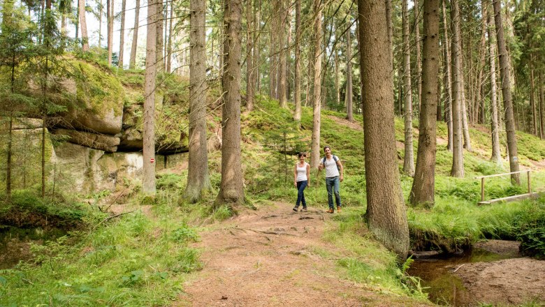 Two people are walking along a forest path in the Höllgraben, surrounded by tall trees and rocks.
