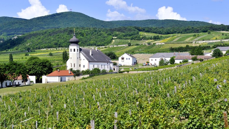 Thallern estate, &copy; Freigut Thallern