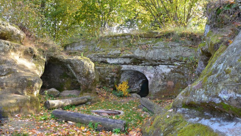 Entrance to a cave in a wooded area with leaves on the ground.