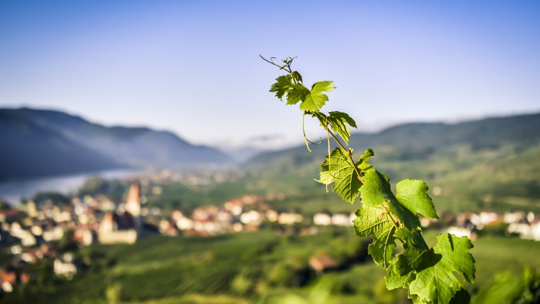 Weißenkirchen in der Wachau, © Robert Herbst