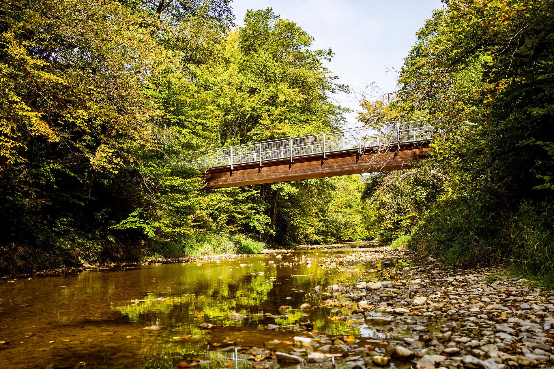 Ein malerischer Holzsteg schwebt über das glitzernde Wasser des Baches, umgeben von üppigem Grün und den warmen Farben des Herbstlaubs. Die sanfte Brise trägt den Duft der Natur und lädt zu einem entspannenden Spaziergang in dieser idyllischen Landschaft ein.
