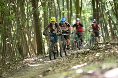 Trailcenter Hohe Wand Wiese Bild, © Niederösterreich Werbung/ Markus Frühmann