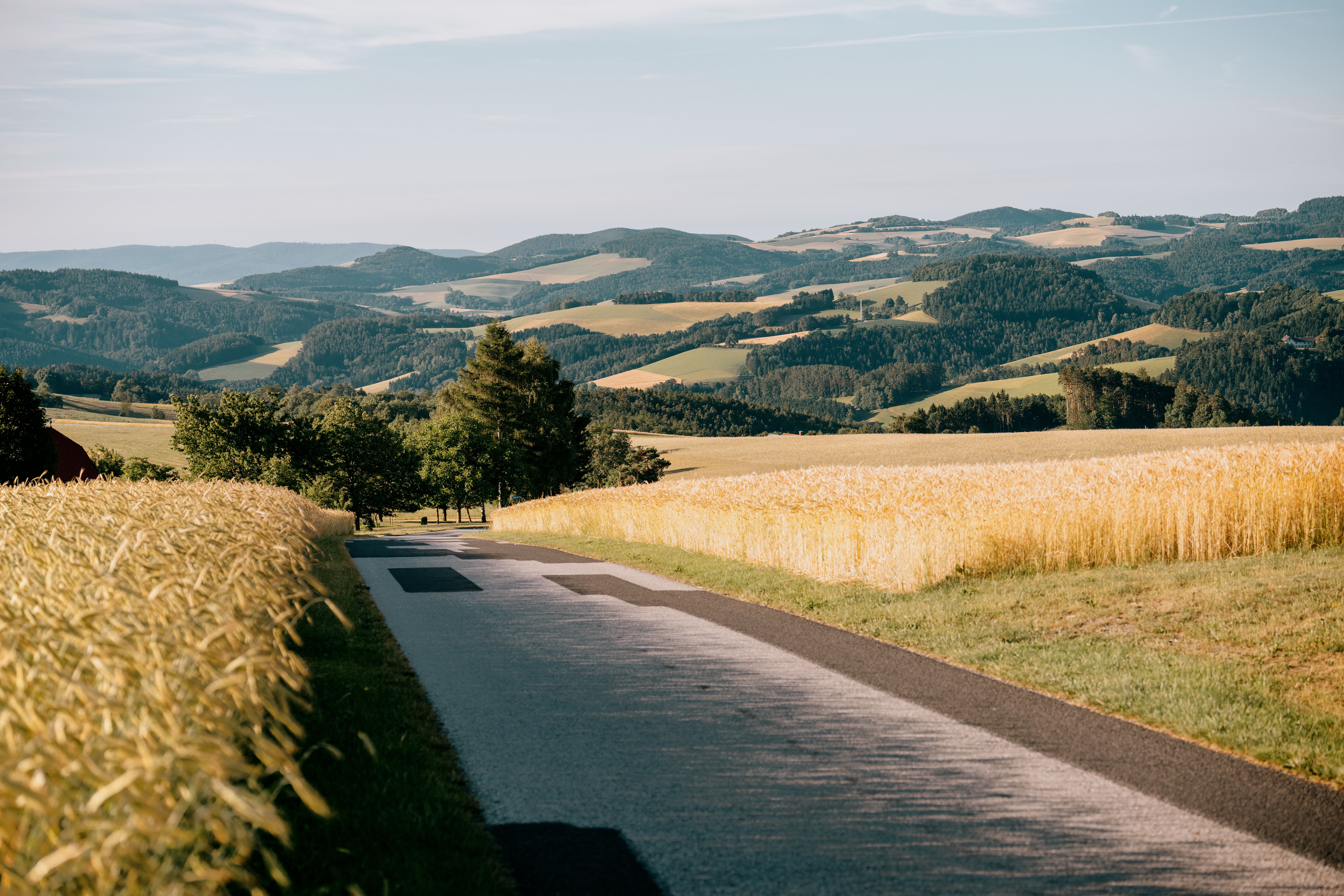 Landscape with fields, hills and a narrow country road in Kirchschlag, Aigen.